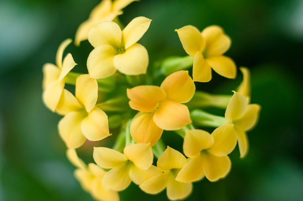 Photograph by Ирина Корнева