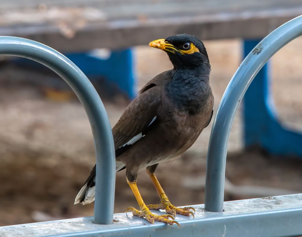 Photograph by Vladimir Bragilevsky