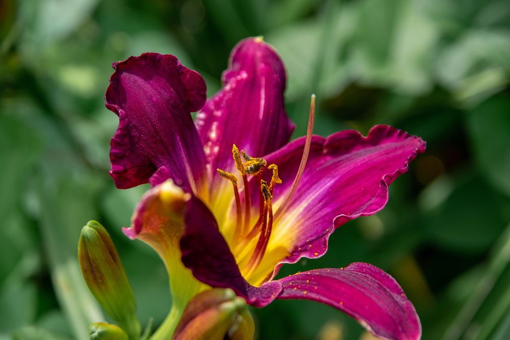 Photograph by Vitalii Kaznin