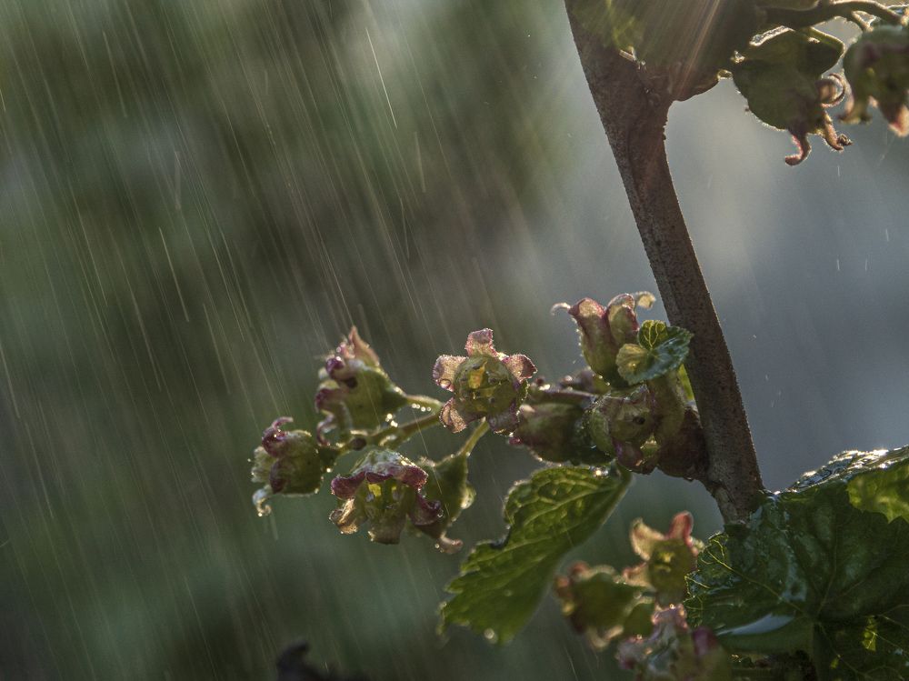 Photograph by Надежда Михайлина