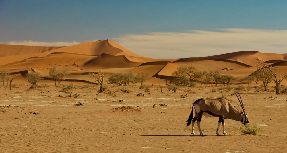 Photograph by Boris Konovalov