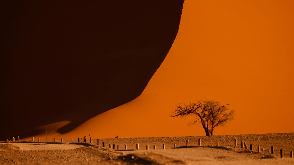 Photograph by Boris Konovalov