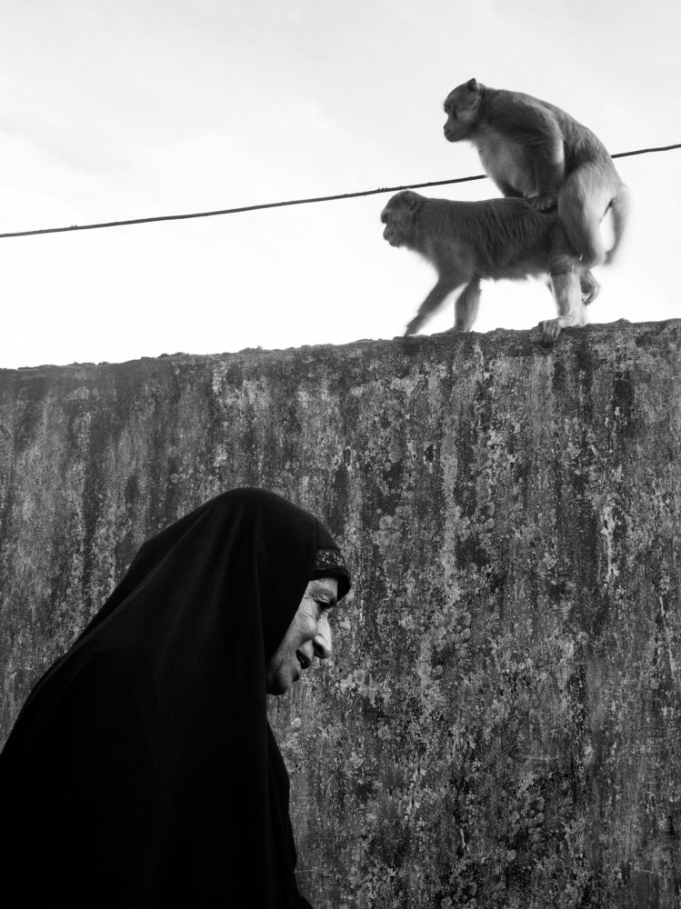 Photograph by Ayman Nakib