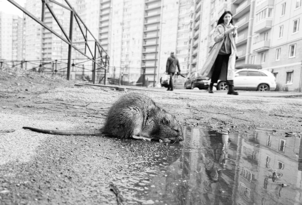 Photograph by Ольга Левакова