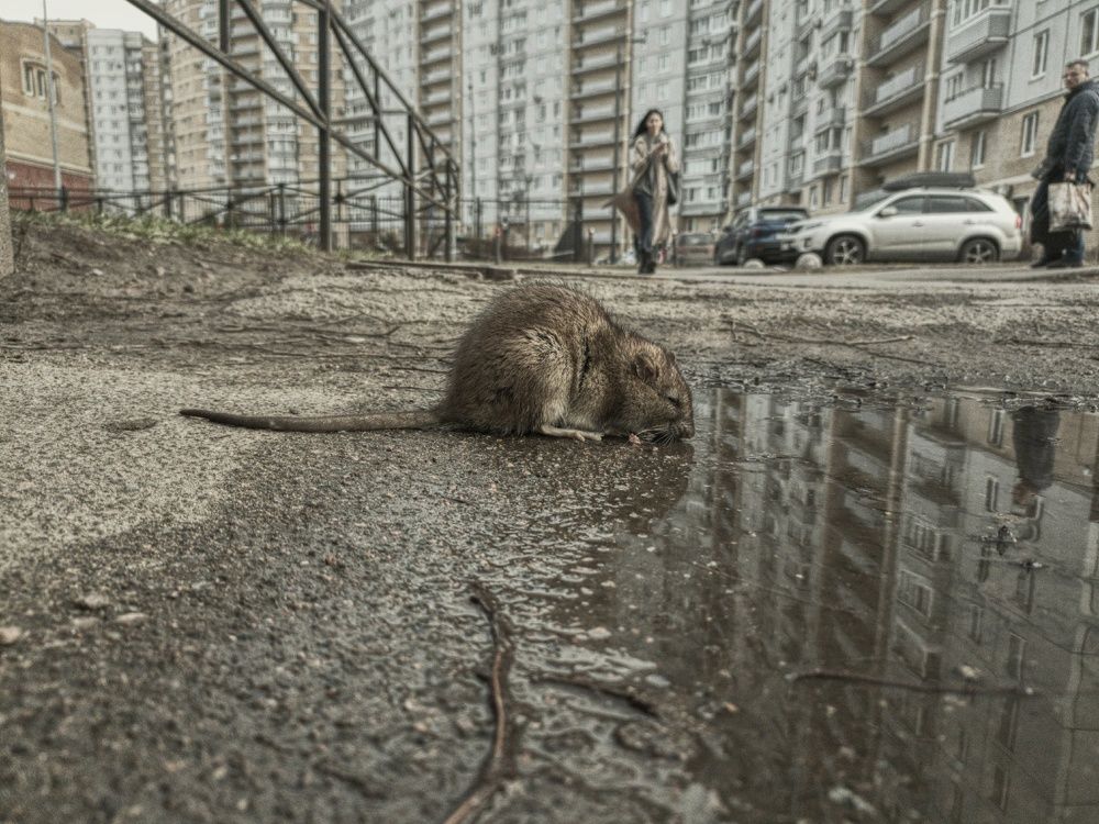 Photograph by Ольга Левакова