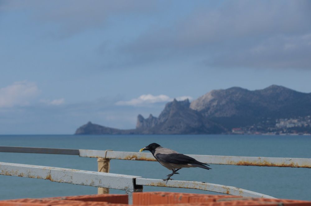 Photograph by Надежда Михайлина