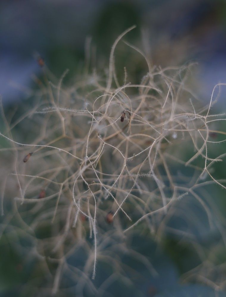 Photograph by Наталья Трофимова