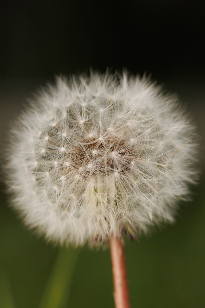 Photograph by Антон Чепуркин