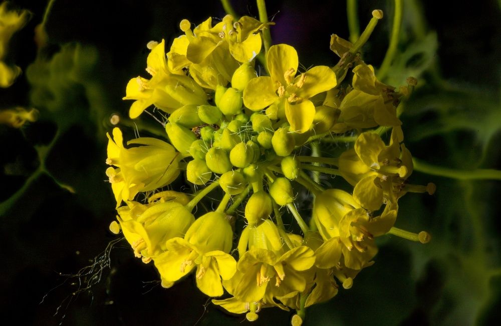 Photograph by Антон Чепуркин