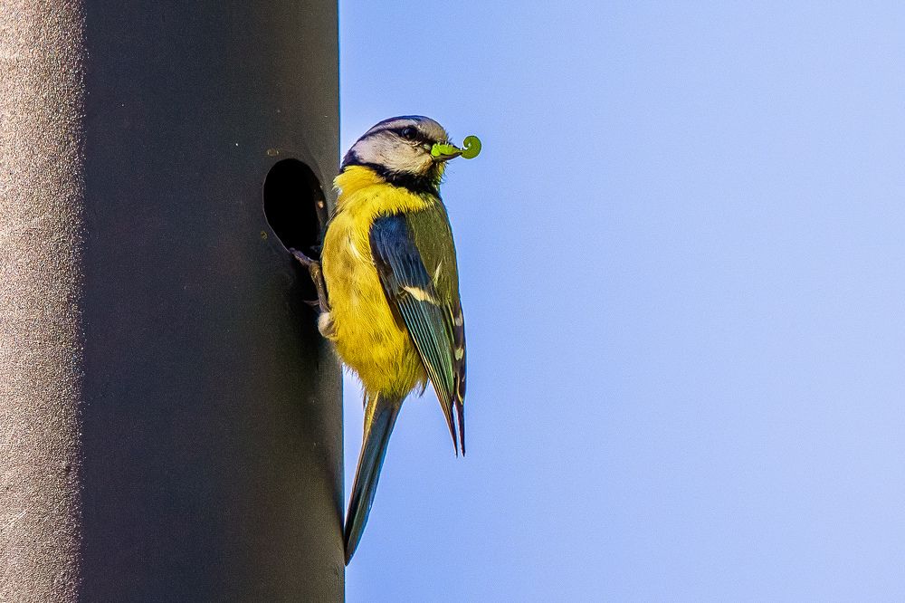 Photograph by Юлия Калугина