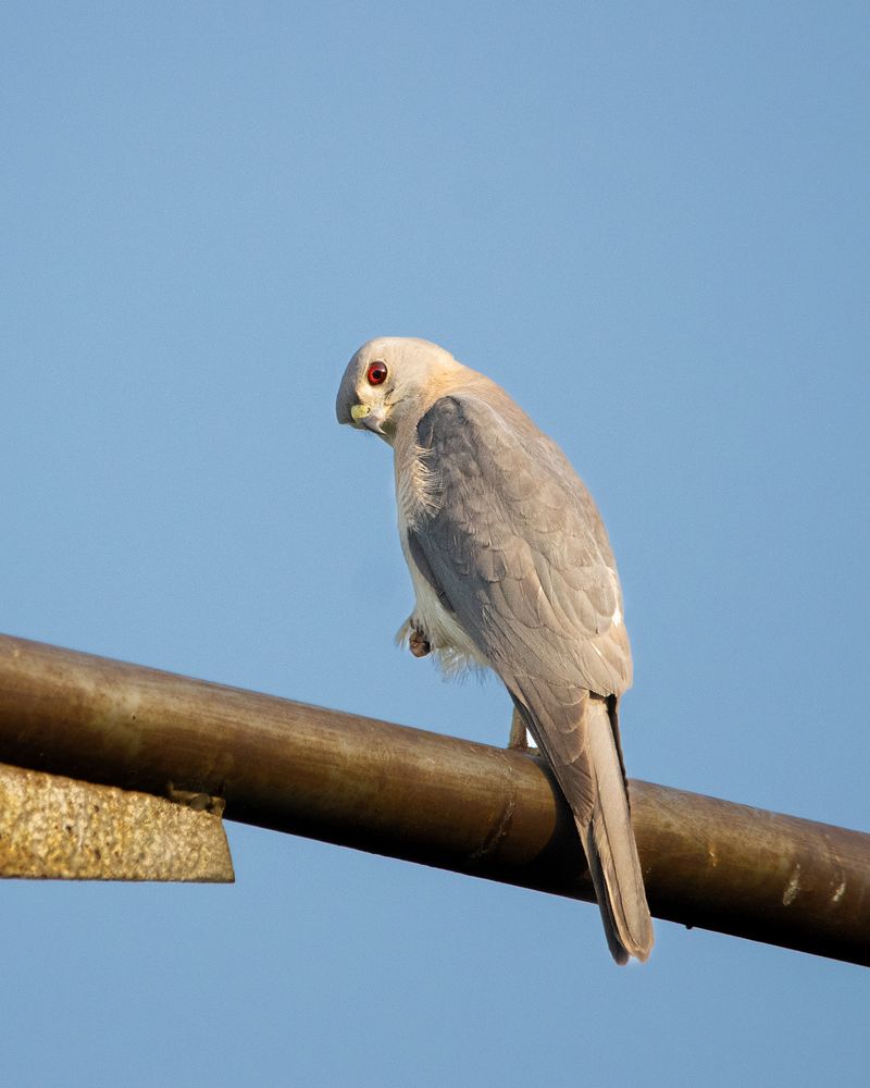 Photograph by Abhishek Kumar