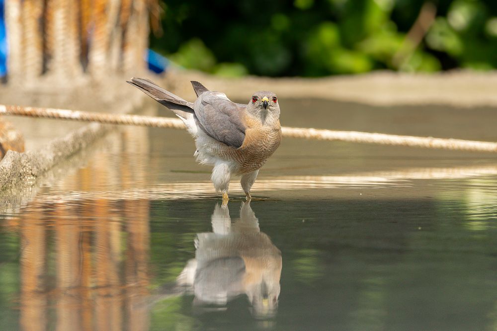 Photograph by Abhishek Kumar