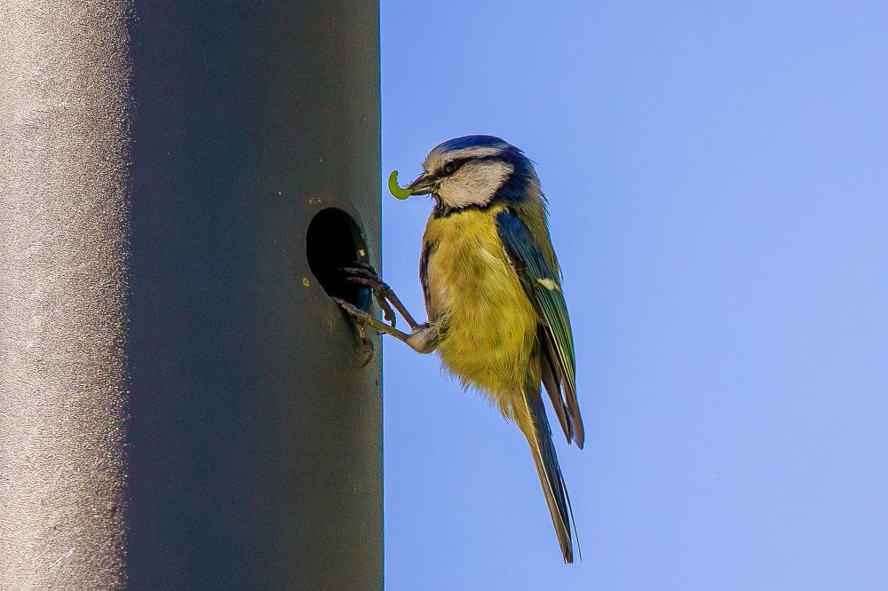 Photograph by Юлия Калугина