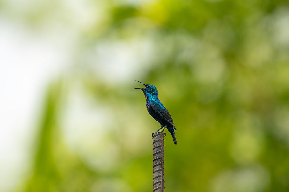 Photograph by Abhishek Kumar