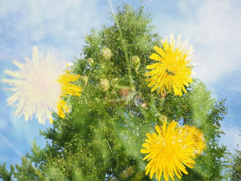 Photograph by МАрина Соловьева