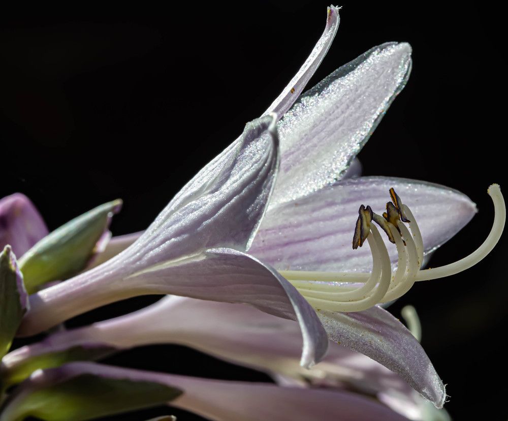 Photograph by Елена Шарапова