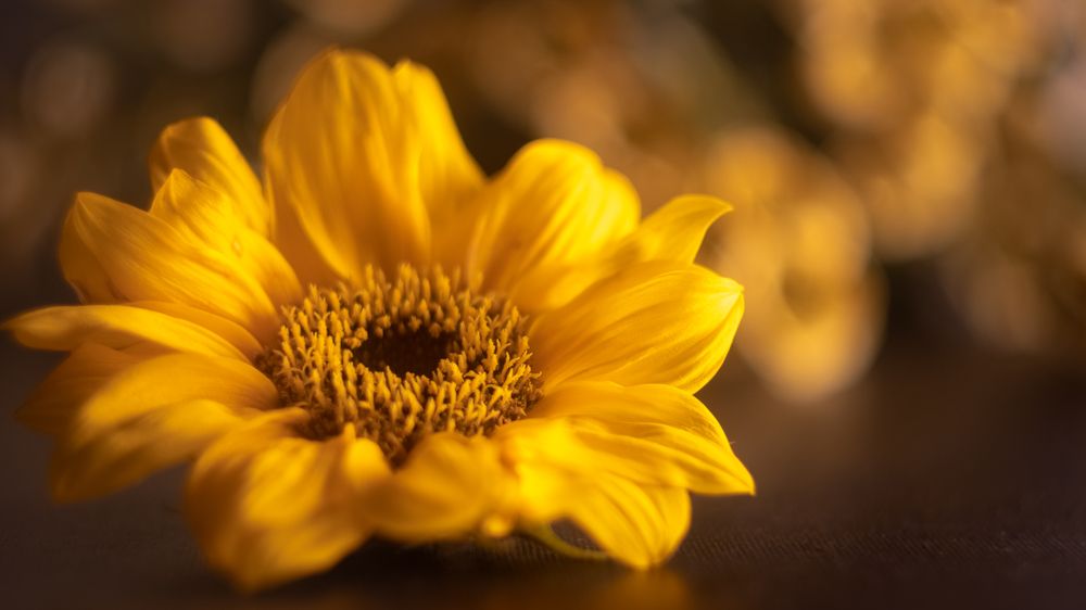 Photograph by Татьяна Романова