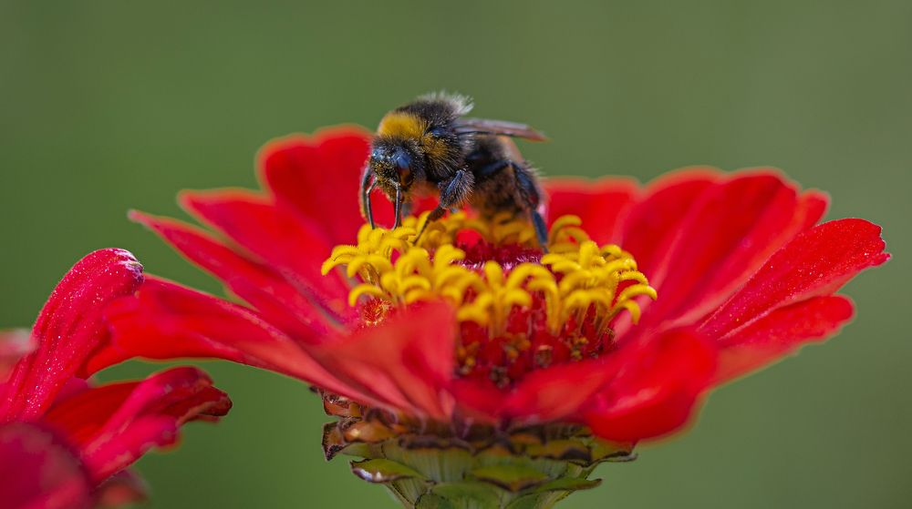 Photograph by Сергей Басов