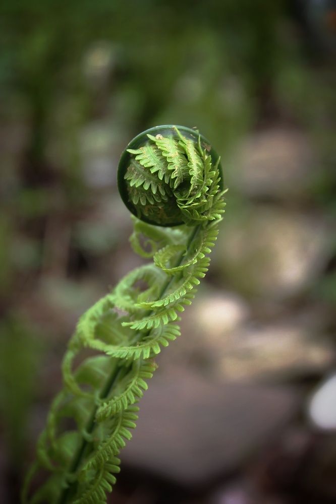 Photograph by Елена Силантьева