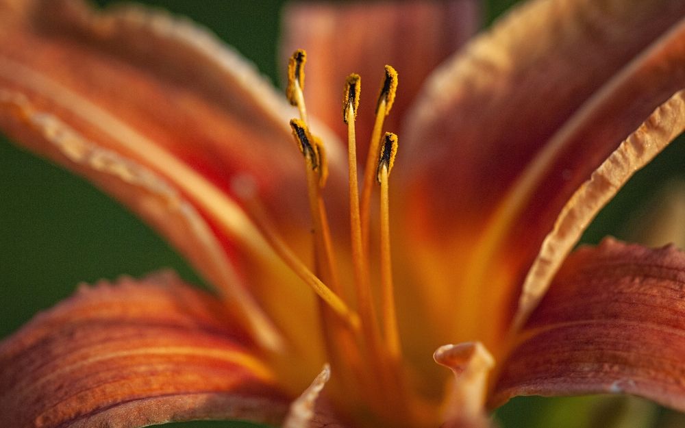 Photograph by Сергей Басов