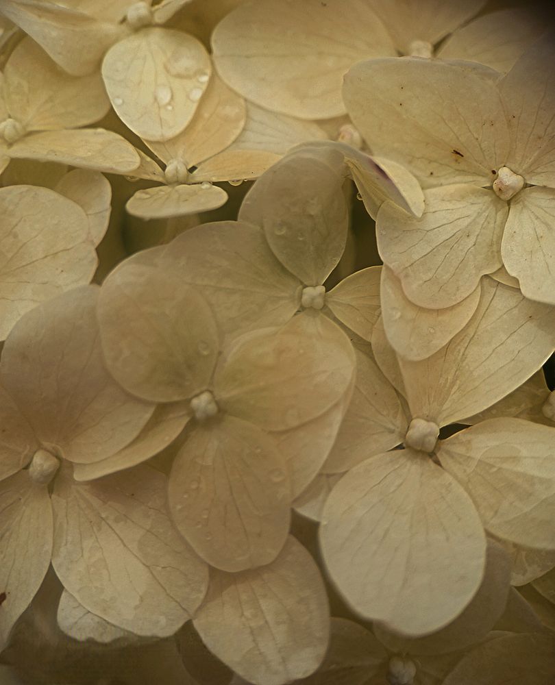 Photograph by Ксения Малютина