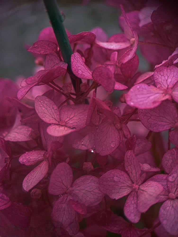 Photograph by Ксения Малютина