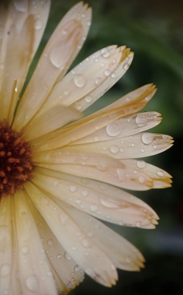 Photograph by Ксения Малютина