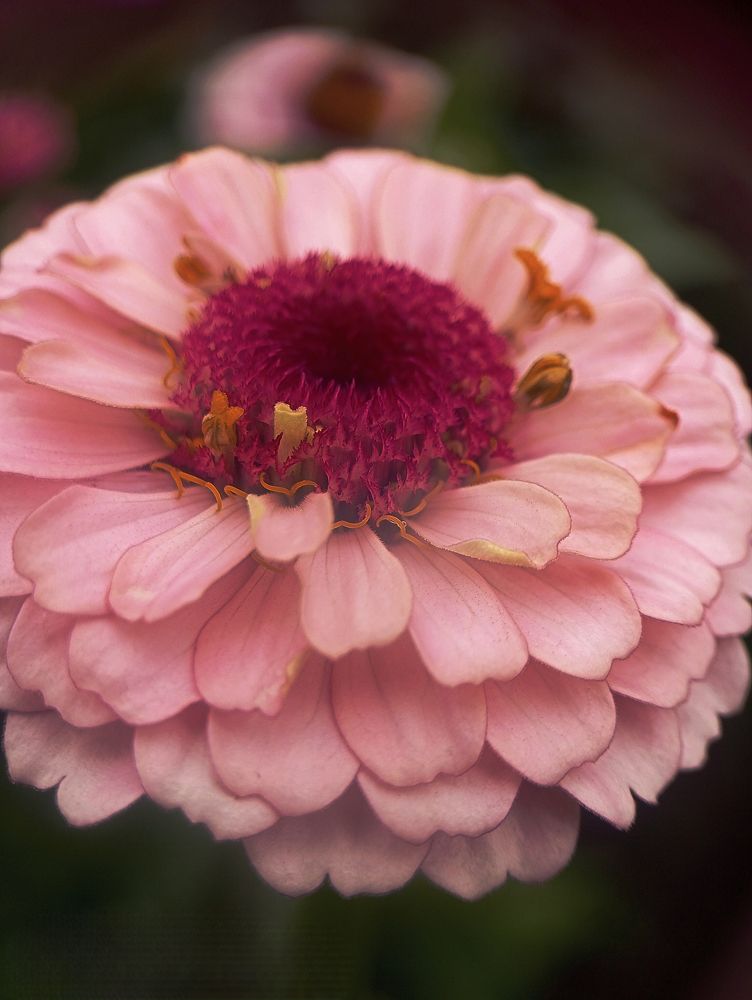 Photograph by Ксения Малютина