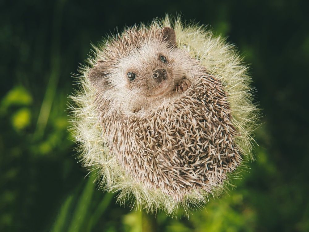 Фотография автора Марина Алексеевская