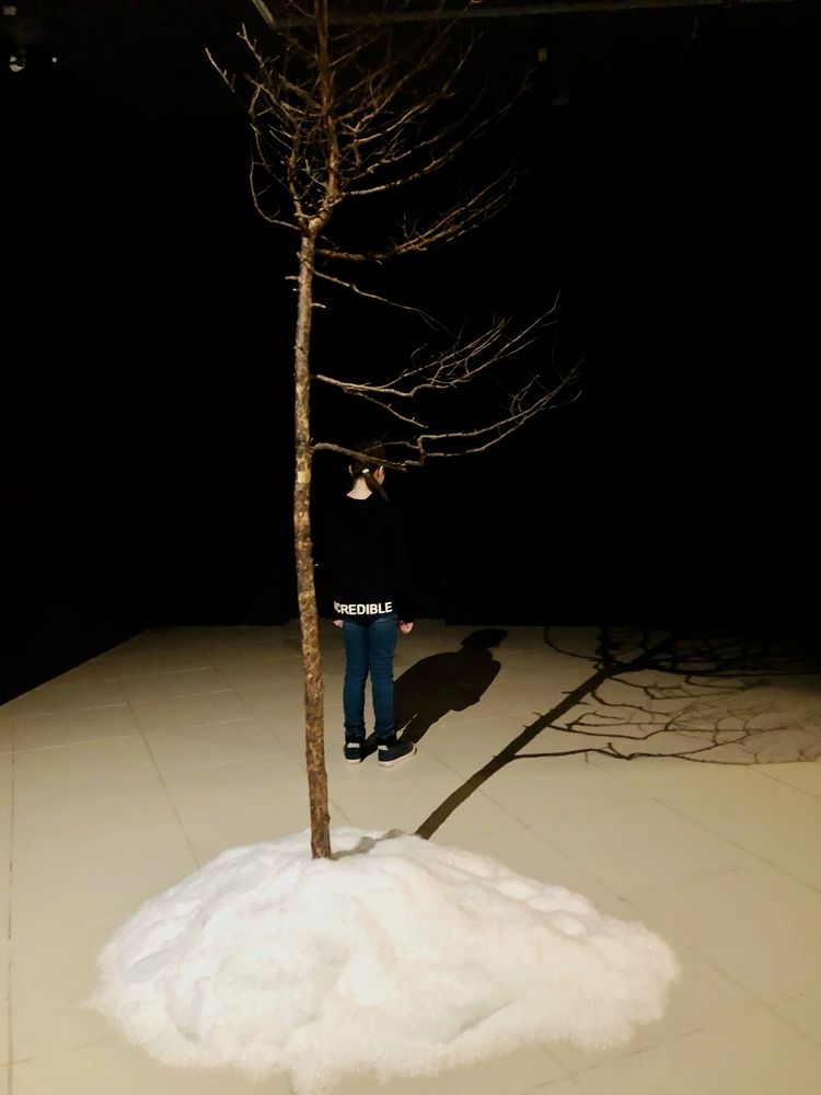 Photograph by Анастасия Конина