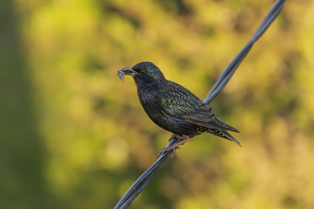 Photograph by Slavcan Vinnikov