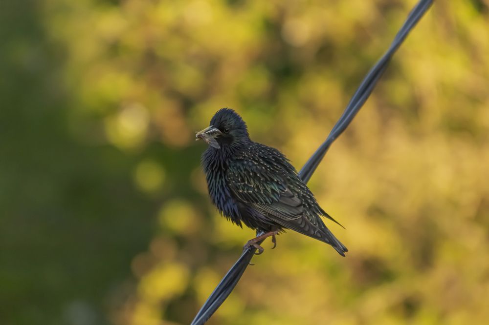 Photograph by Slavcan Vinnikov