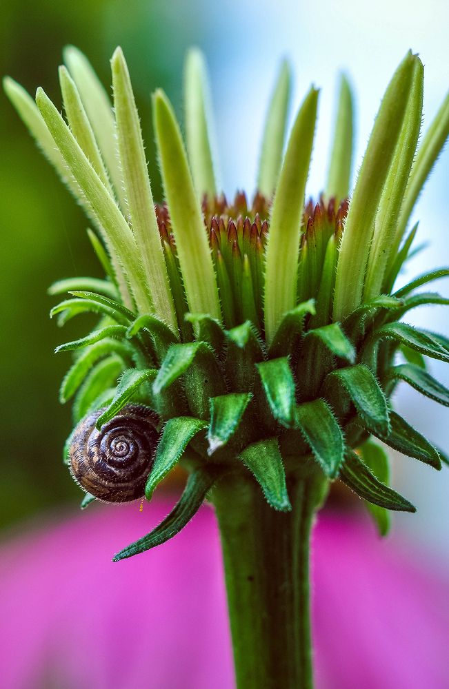 Photograph by Олеся zme