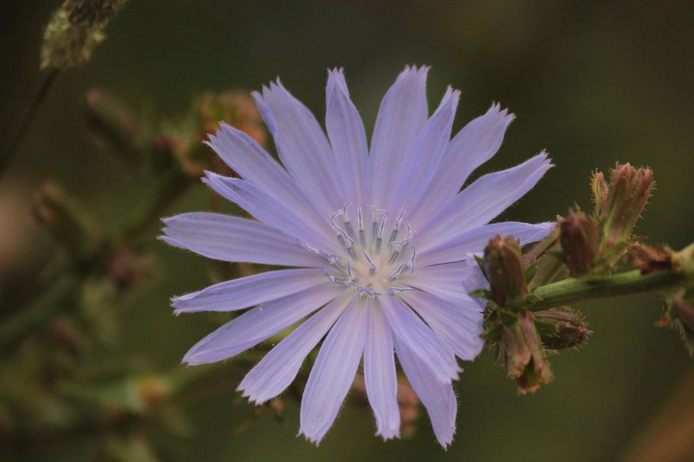 Photograph by Екатерина Александровна