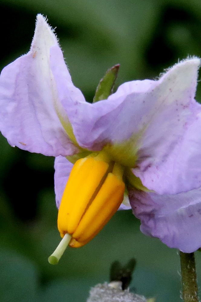 Фотография автора Николай Семенец