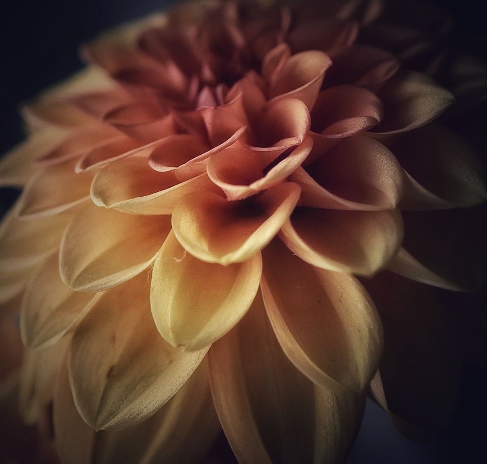 Photograph by Кира Бахвалова