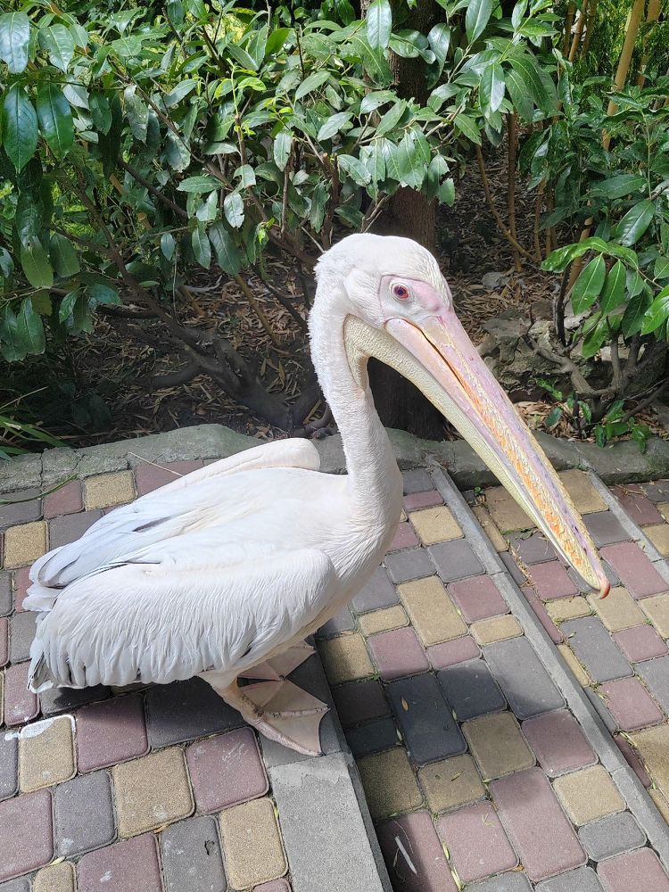 Photograph by Антон