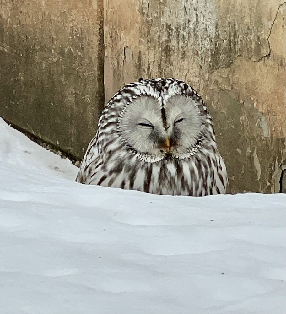 Photograph by Светлана Хохлова