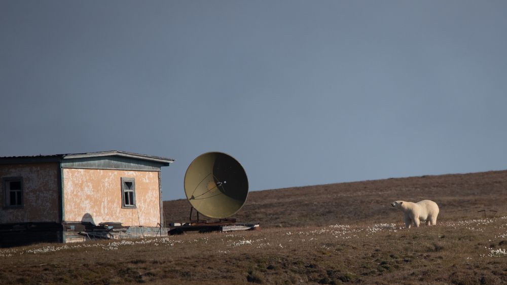 Фотография автора Boris Konovalov