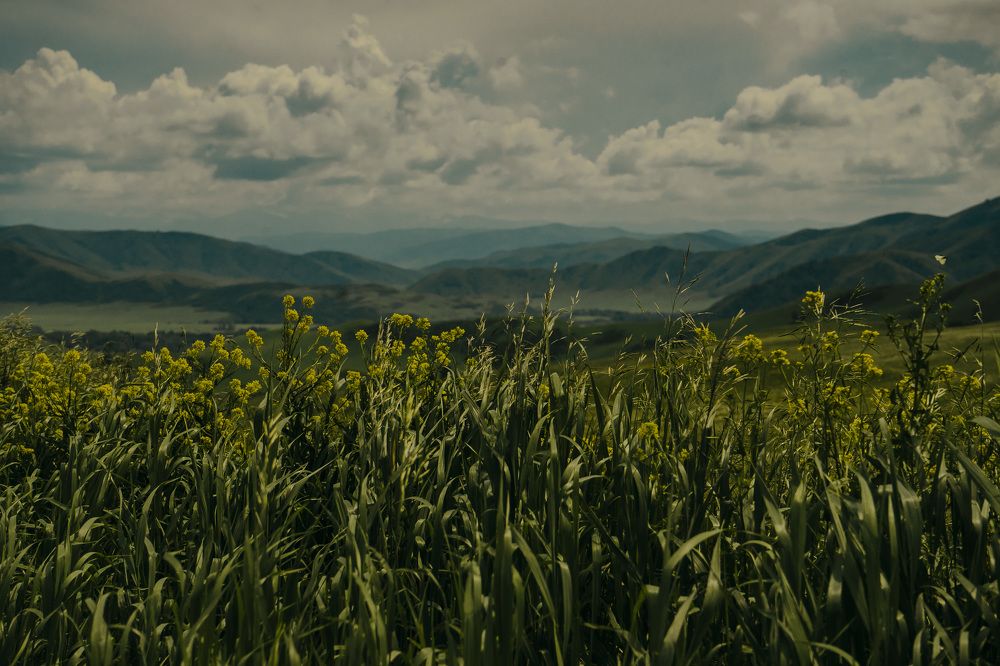 Photograph by Олеся Александрова