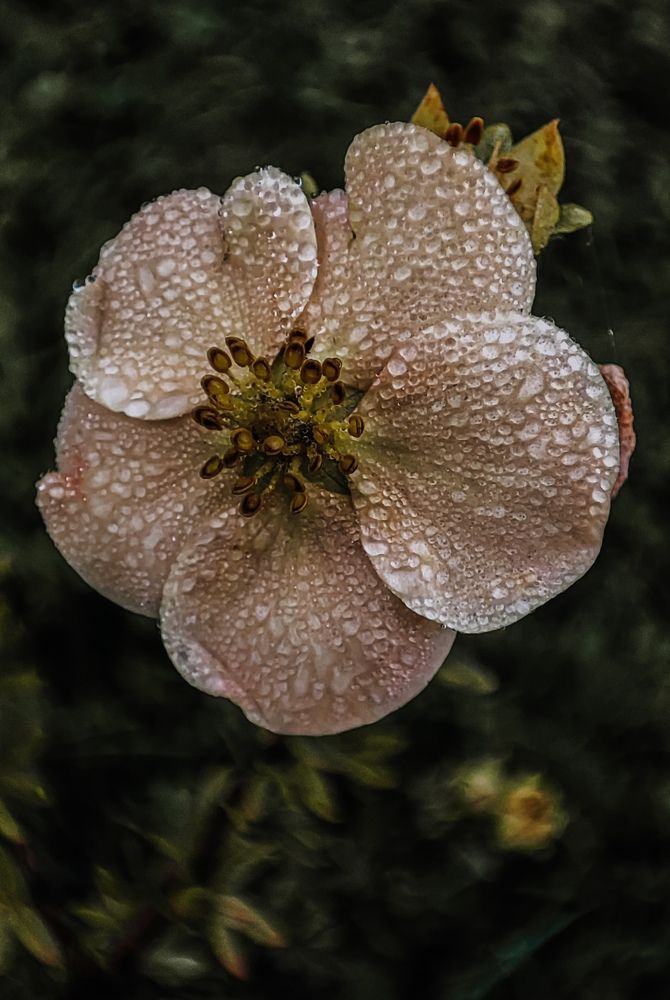 Photograph by Юлия