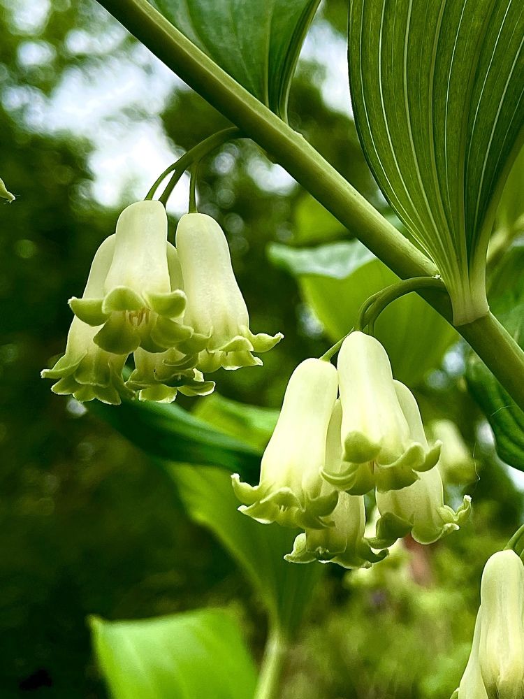 Photograph by Светлана Хохлова