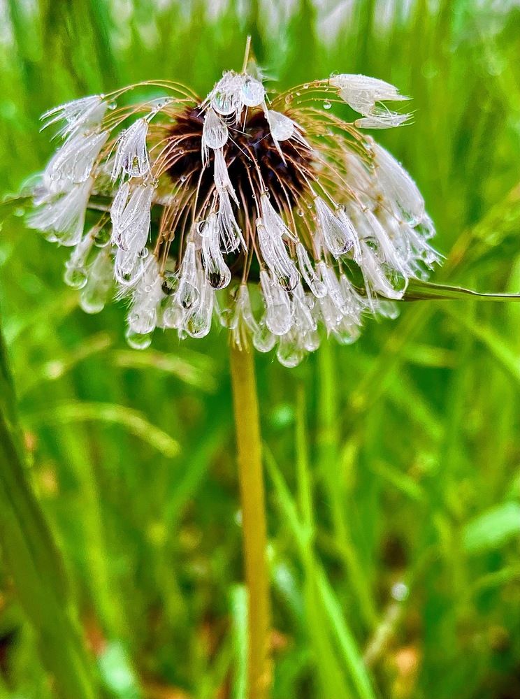 Photograph by Светлана Хохлова