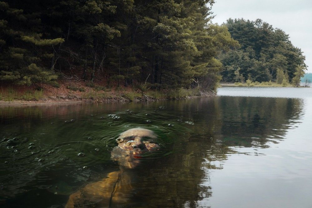 Фотография автора Mari Saxon