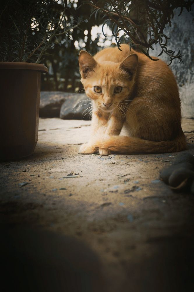 Photograph by Елена Шабельникова