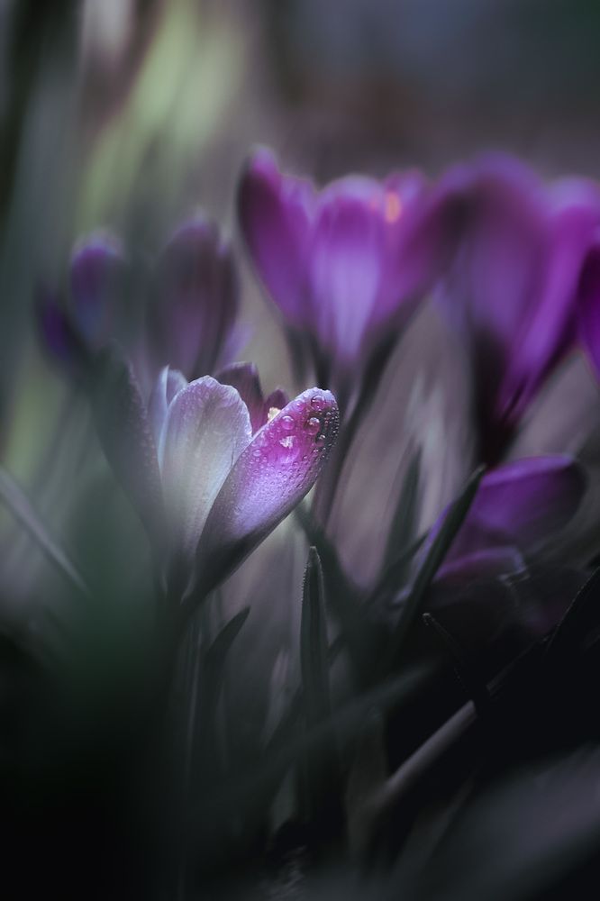 Photograph by Анна Тен