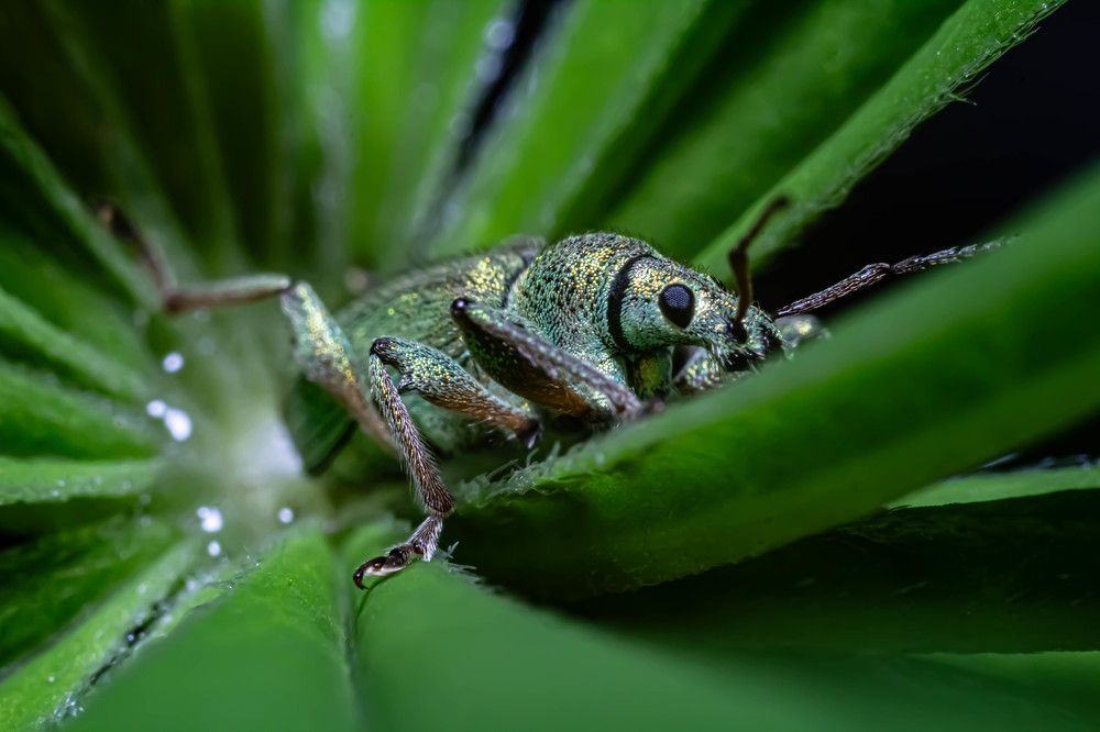 Photograph by Елена Шарапова