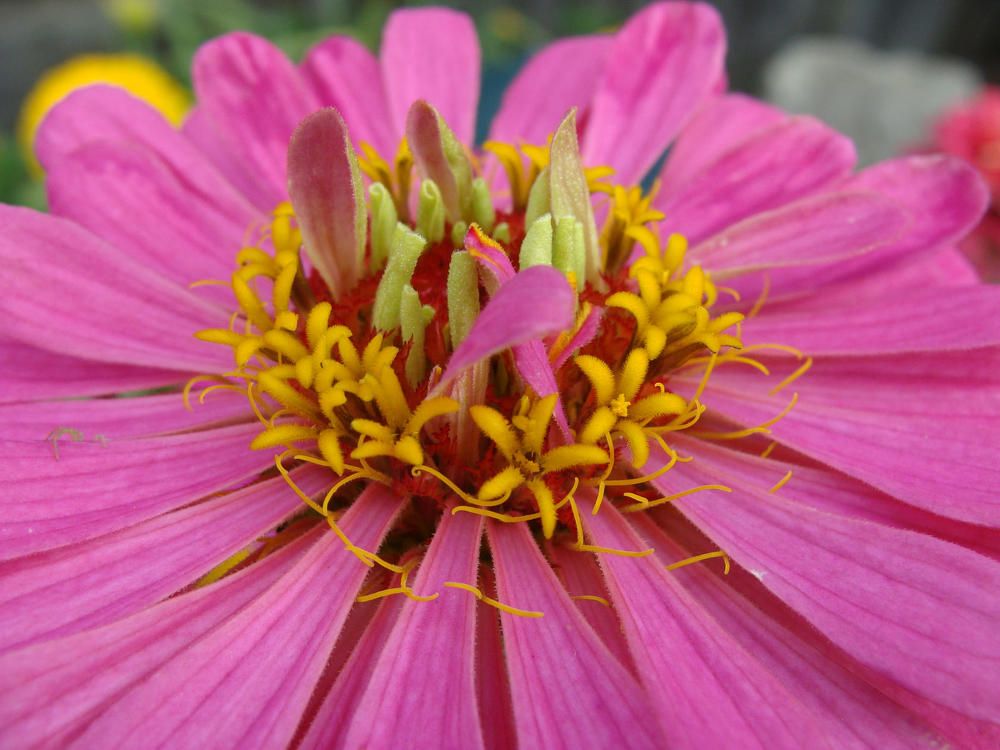 Фотография автора Павел Попов