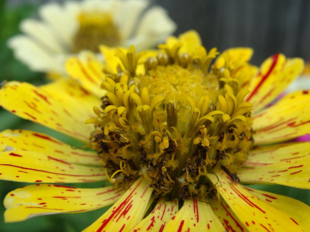 Фотография автора Павел Попов