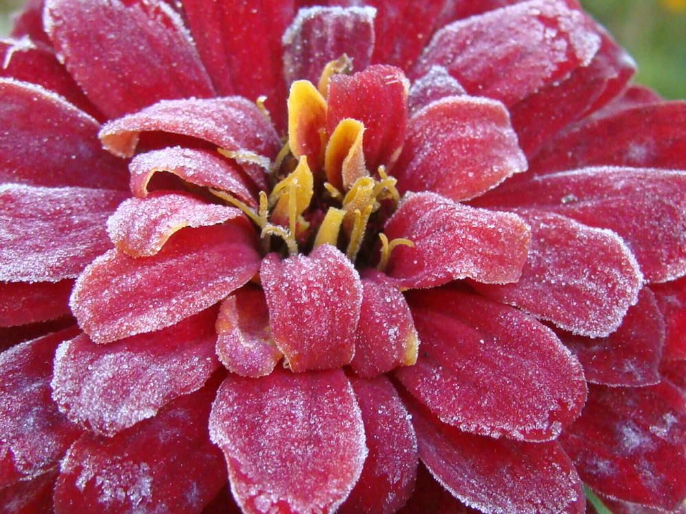 Фотография автора Павел Попов